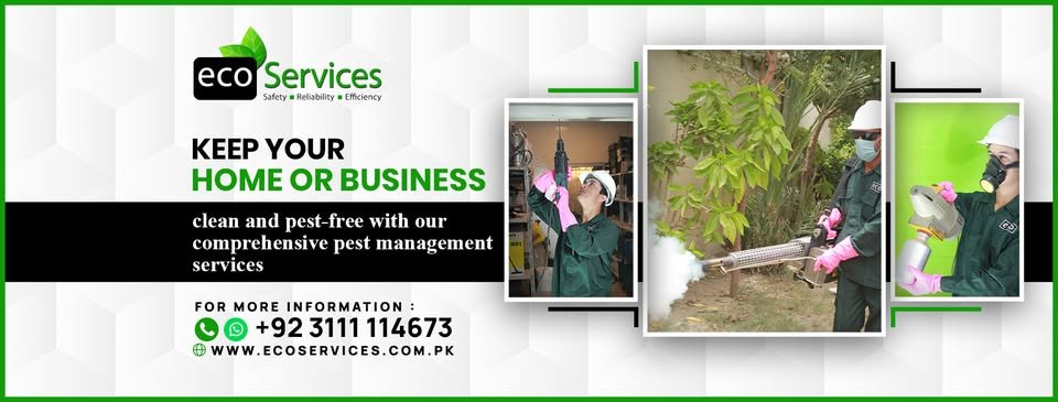 1 ECO Services