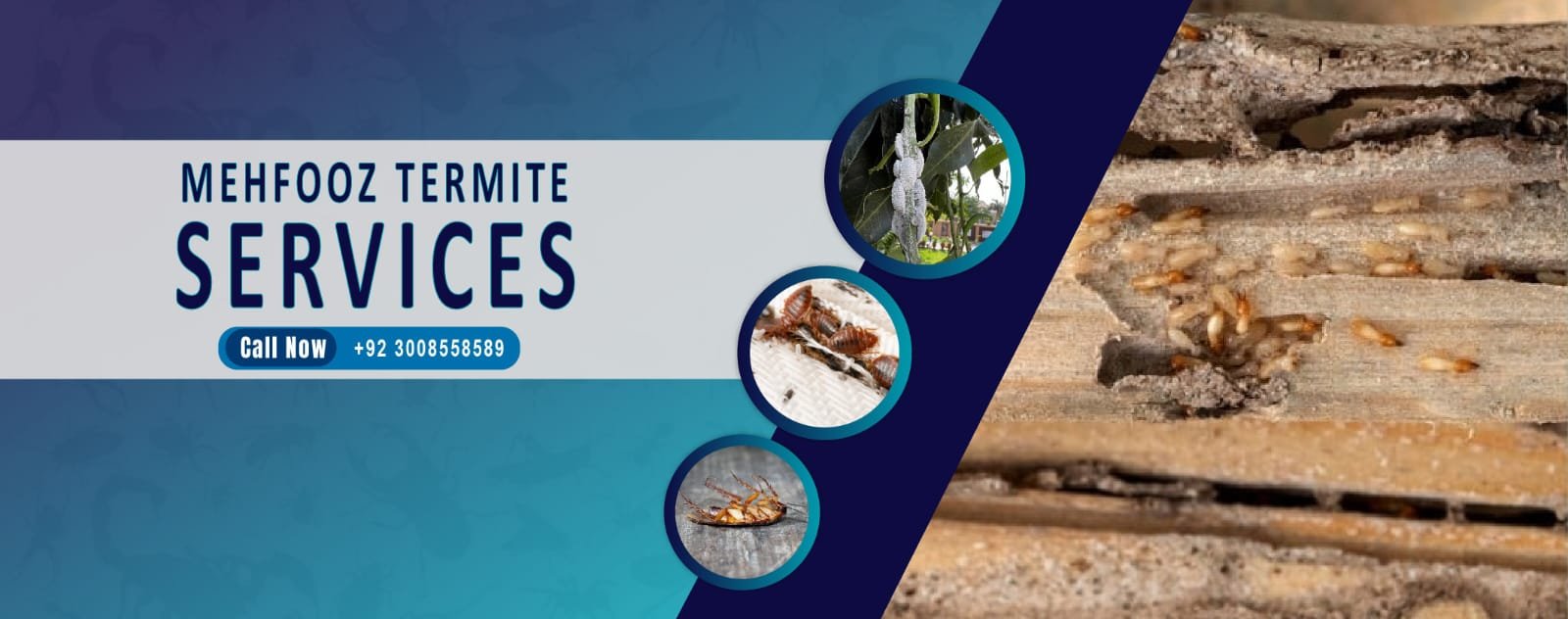 1 Mehfooz Termite Services