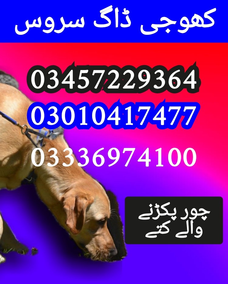 1750305918418
