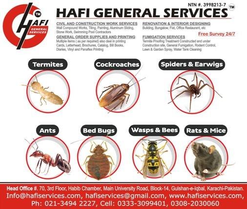 2 HAFI Services