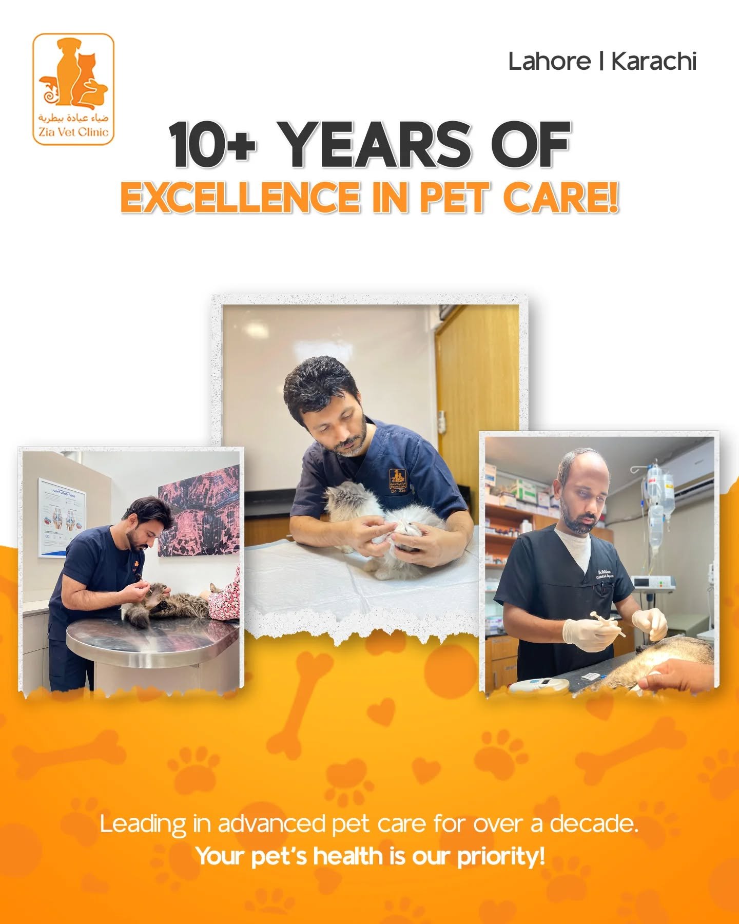 1 Zia Vet Clinic