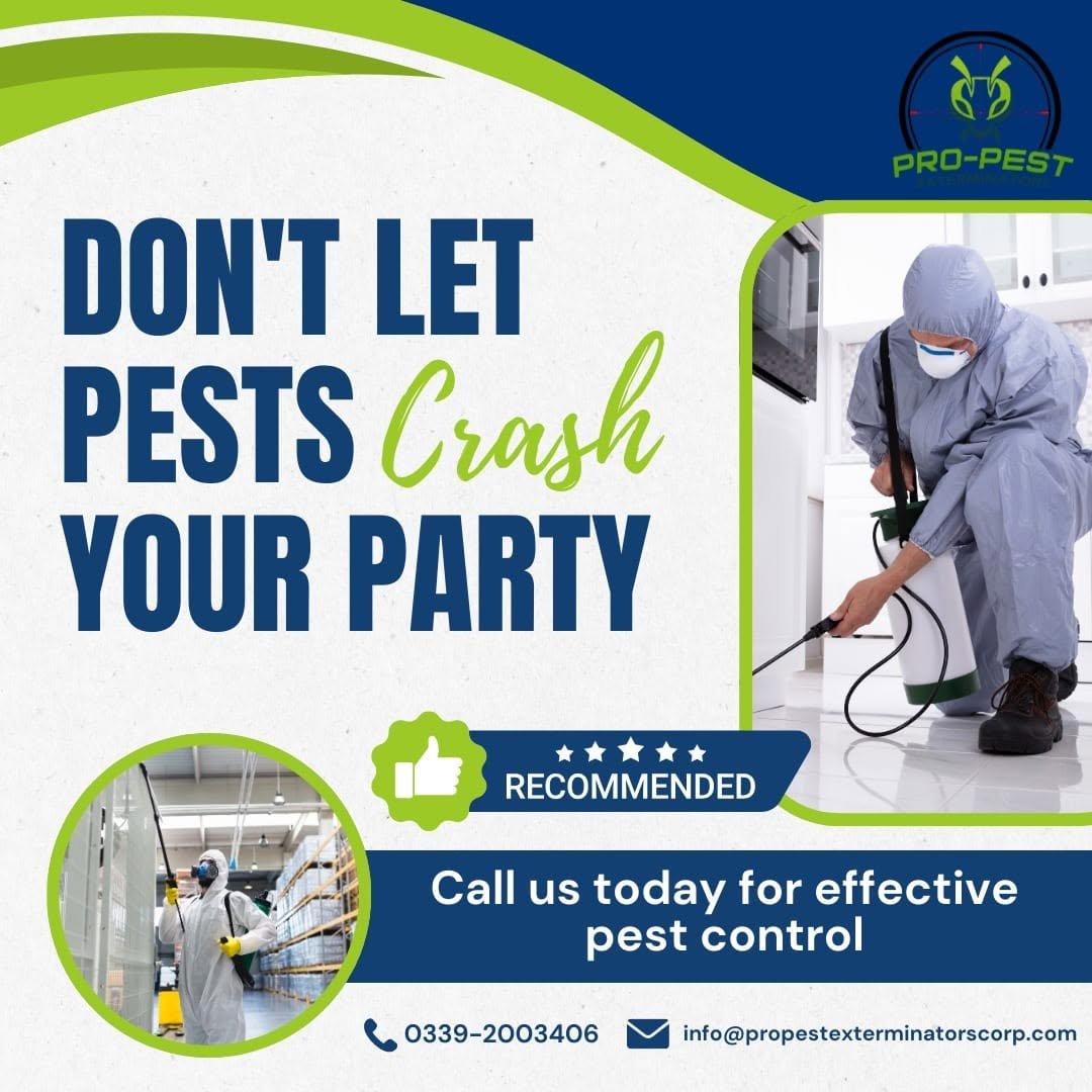 3 Pro Pest