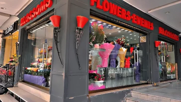 blossoms gulberg
